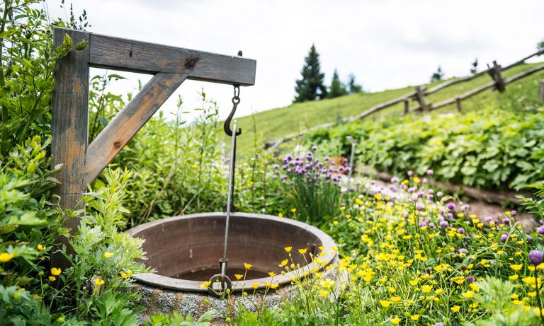 blühender Kräutergarten mit Brunnen